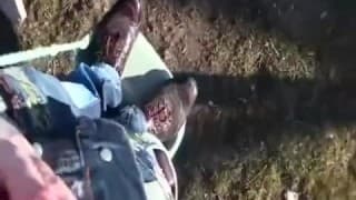 Una piccola spagnola all'aperto