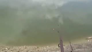 Verifica la tua età