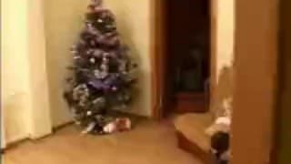 Verifica la tua età