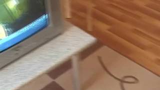 Una ragazza giovane che ama il sesso Una ragazza giovane che ama il sesso