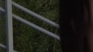 Verifica la tua età