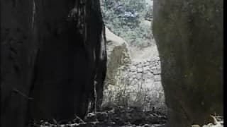 Verifica la tua età