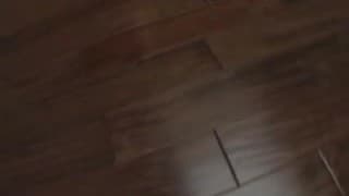 Verifica la tua età