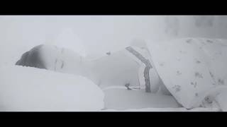 Verifica la tua età