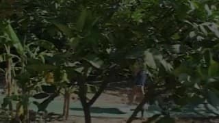 Verifica la tua età