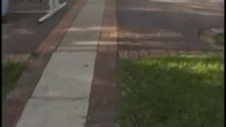 Verifica la tua età