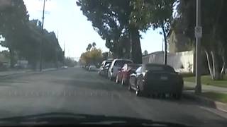 Lauren A- La bruna con un gran bel culo!