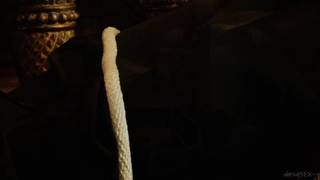 Aletta Ocean libera il suo amante