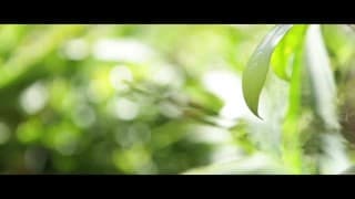 Verifica la tua età