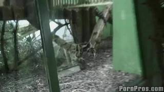 Una troia per alcuni colpi di cazzo