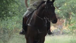 Verifica la tua età