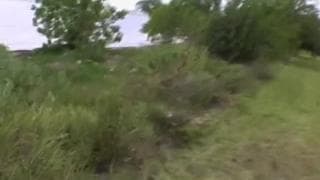 Marina Maywood scopata in mezzo alla natura