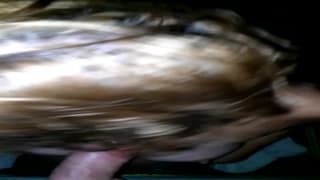 Leui succhia questo cazzo per quasi mezz'ora