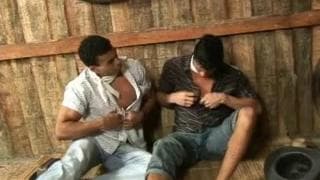 Amatoriali, Arabi, Mori, Seghe, Muscolosi, Pornostar, Latini