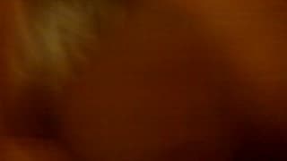 Scena di interrazziale amatoriale e hard