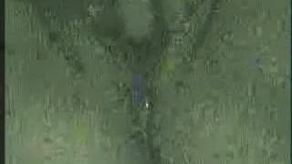 Una masturbazione femminile di notte