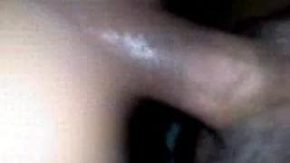 Ragazza mulatta che succhia e fa seghe Ragazza mulatta che succhia e fa seghe