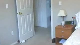 Lei si masturba e ce lo mostra in webcam