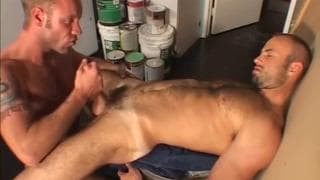 Uomini muscolosi e pelosi si succhiano