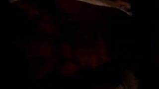 Una mora gli fa un gran bel pompino