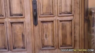 Casey Calvert circondata da cazzi neri