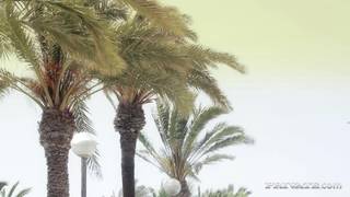 Erica Fontes e Tiffany Doll in un trio