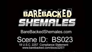 Un trio che vuole fare di tutto