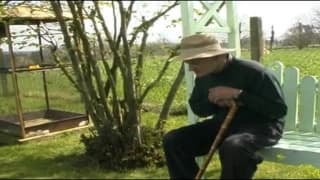 Verifica la tua età