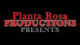 Due neri gay in prigione