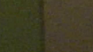 Verifica la tua età