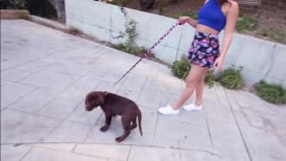 Abella Danger prende un grande cazzo!