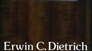 Verifica la tua età