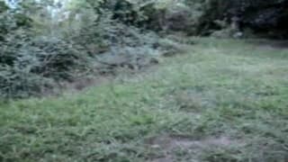 Tante carezze all'aperto per questa troia