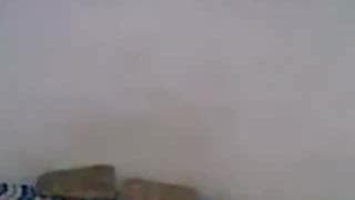 Verifica la tua età