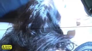 Verifica la tua età