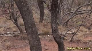 Verifica la tua età