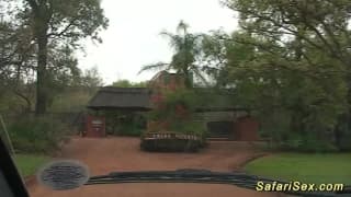 Verifica la tua età