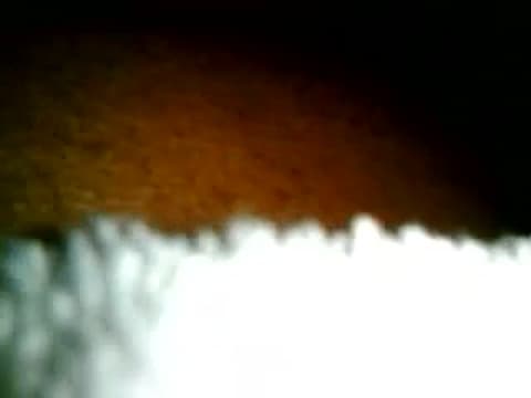 Verifica la tua età