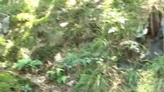 Un uomo che voleva solo sesso all'aperto