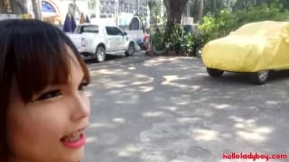 Verifica la tua età