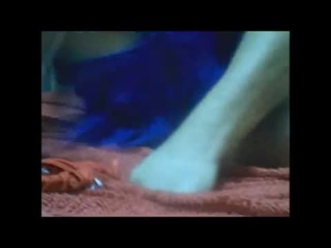 Verifica la tua età