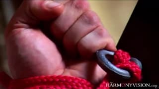 Tanto bondage in questo favoloso video Tanto bondage in questo favoloso video