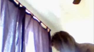 Verifica la tua età