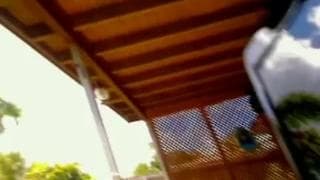 Lei si accarezza sensualmente in webcam