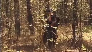 Verifica la tua età