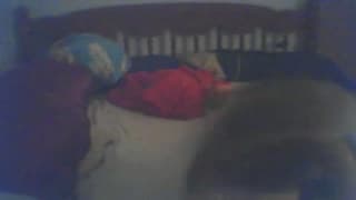 Verifica la tua età