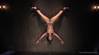 Questa mora gode mentre è immobilizzata