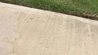 Verifica la tua età