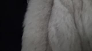 Verifica la tua età