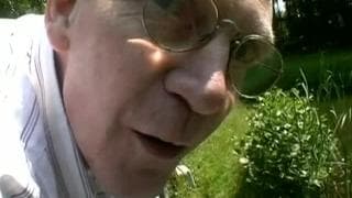 Una scopata tra la legna in un bosco